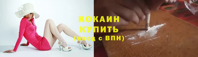 мяу мяу мука Ельня