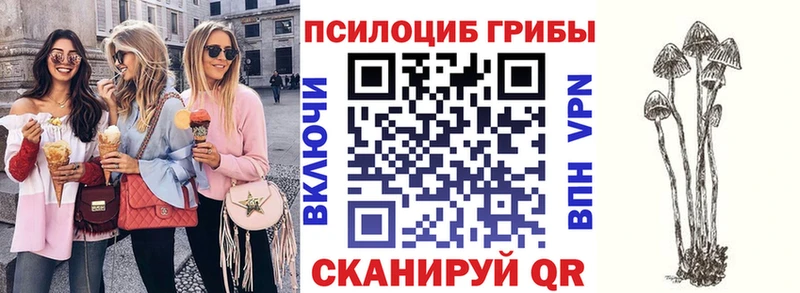 Купить где  Вельск  Псилоцибиновые грибы ЛСД 